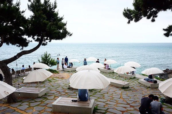 991B95485B2CF04A08A267