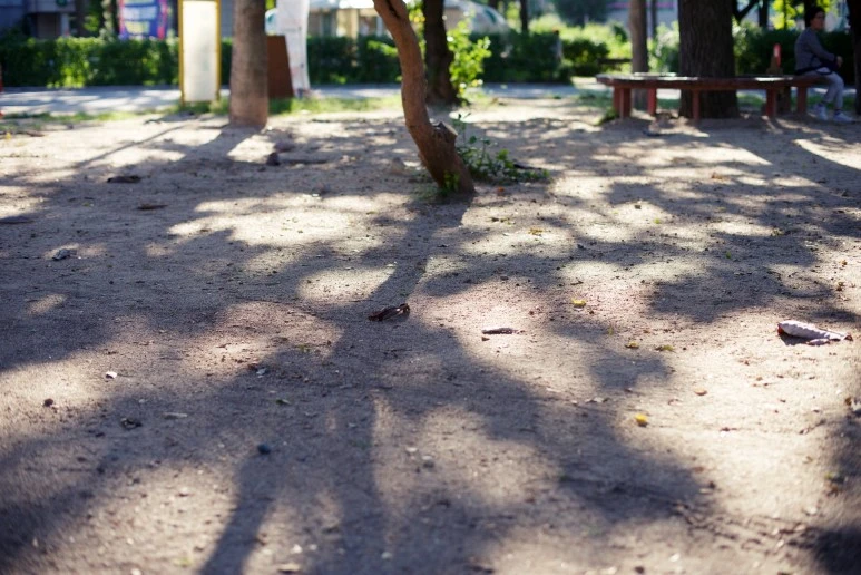 IMGP5752_re.jpeg?type=w773