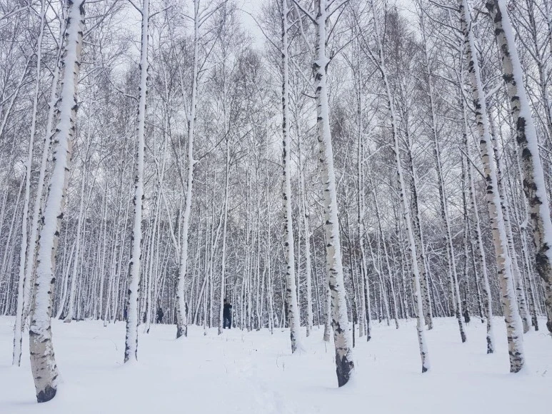 %EA%B0%95%EC%9B%90%EB%9E%9C%EB%93%9C_%EC%B6%9C%EC%9E%A5_(166).jpg?type=w773