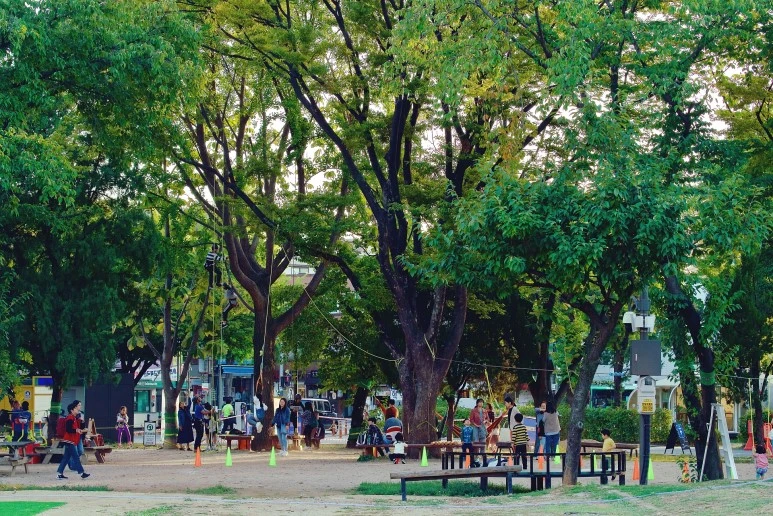 IMGP8078.jpeg?type=w773