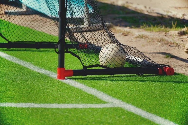 IMGP7572.jpeg?type=w773