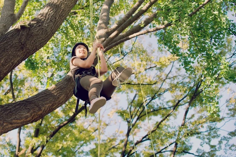 IMGP8013.jpeg?type=w773