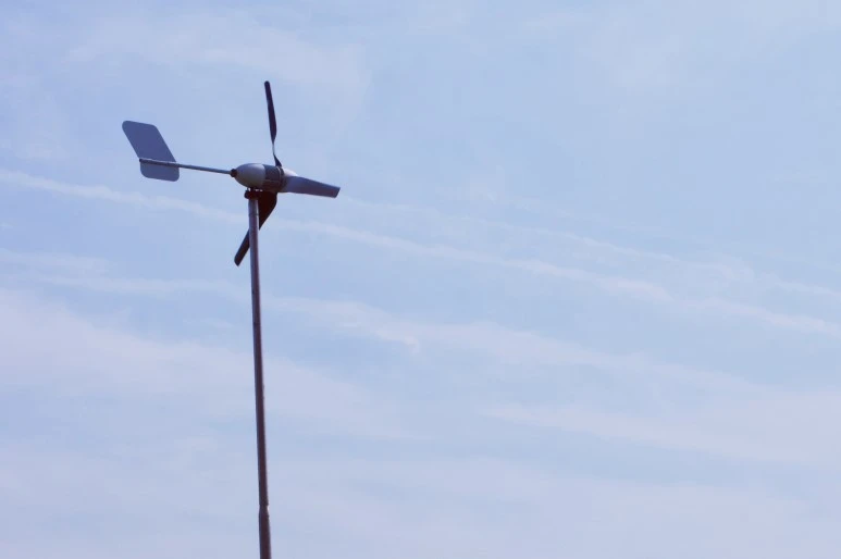 _IMG7482.jpeg?type=w773