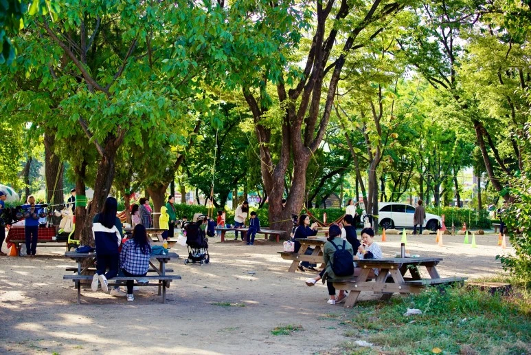 IMGP7869.jpeg?type=w773