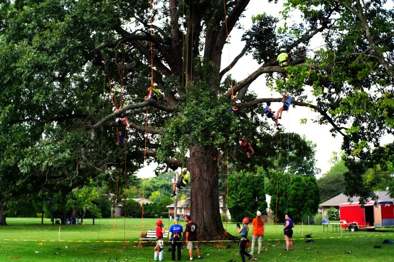 %EC%BA%94%ED%84%B0%ED%82%A4_%ED%8A%B8%EB%A6%AC%ED%81%B4%EB%9D%BC%EC%9D%B4%EB%B0%8D2_%EB%B3%B5%EC%82%AC%EB%B3%B8.jpg?type=w773