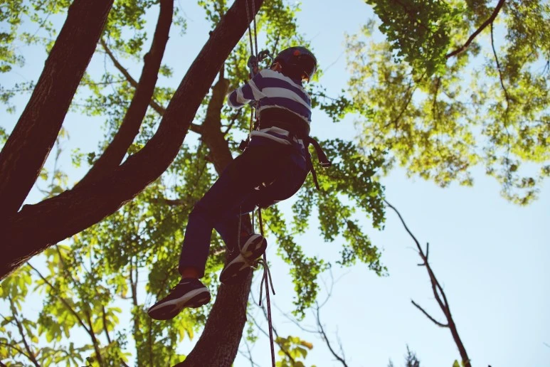 IMGP8026.jpeg?type=w773