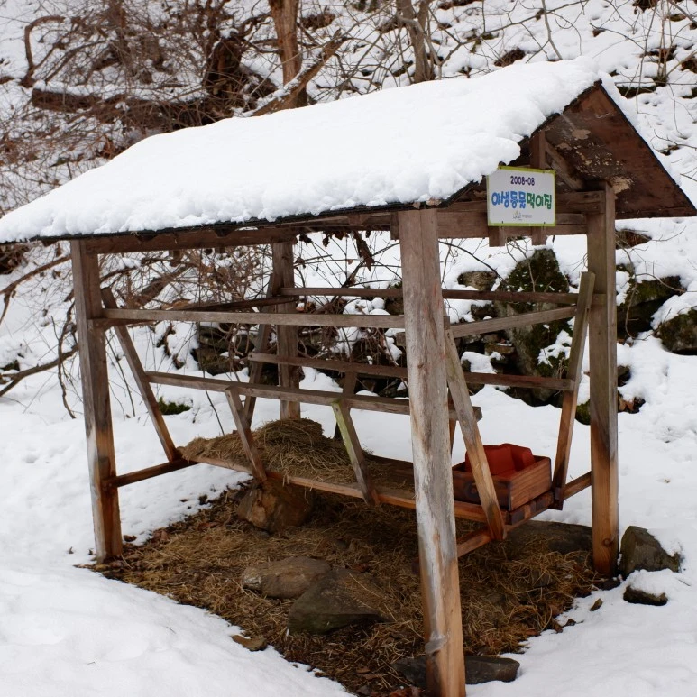 %EA%B0%95%EC%9B%90%EB%9E%9C%EB%93%9C_%EC%B6%9C%EC%9E%A5_(18).JPG?type=w773