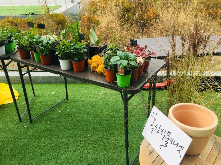 IMG_8663.JPG?type=w773