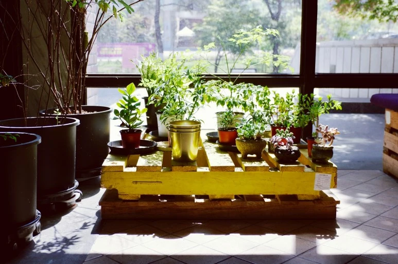 _IMG6174.jpeg?type=w773