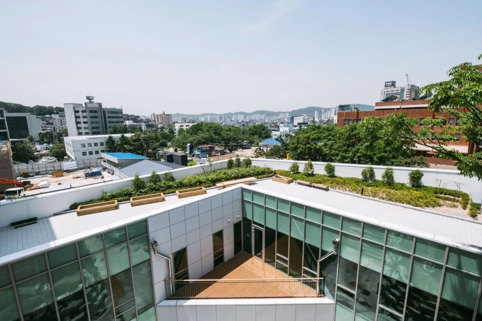 DSCF5247.jpg?type=w966