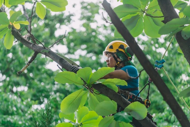 %ED%94%BC%EC%95%84%EB%85%B8%EC%88%B2__%EC%88%98%EB%AA%A9%EA%B4%80%EB%A6%AC01.jpg?type=w773