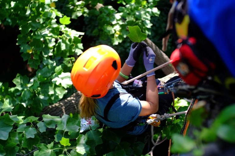 38412063_1657927634334560_5963267803631845376_o.jpg?type=w773