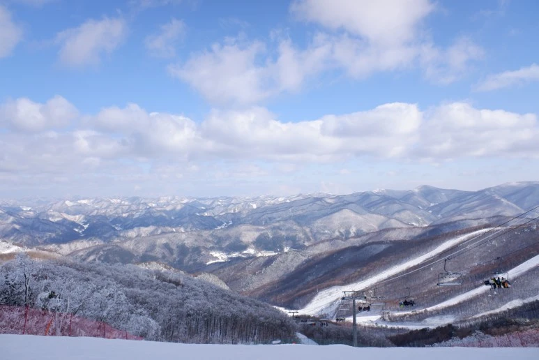 DSCF5149.JPG?type=w773