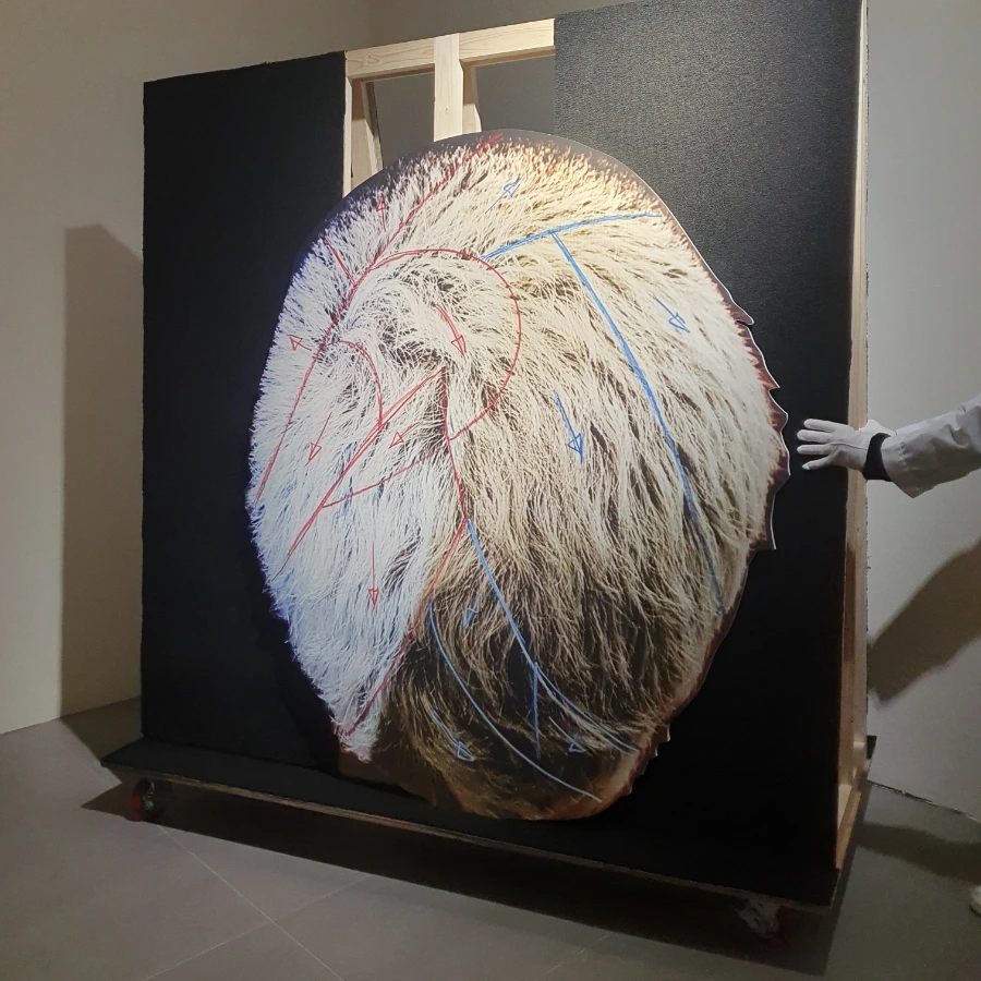 20230109%EF%BC%BF155647.jpg?type=w966