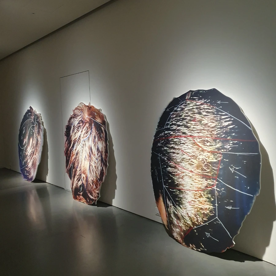 20230109%EF%BC%BF161825.jpg?type=w966