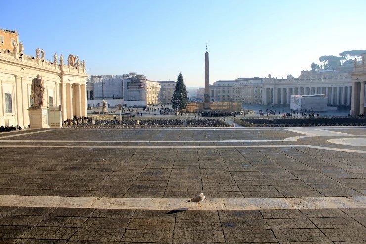 IMG_4645.JPG?type=w1