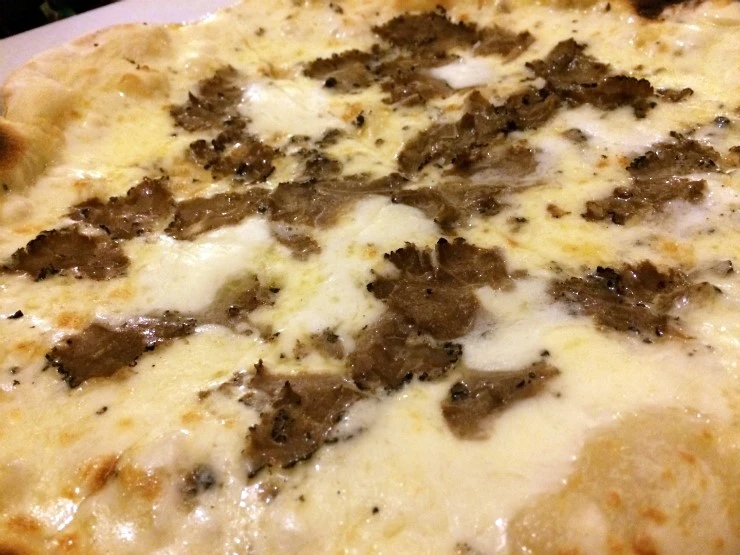 IMG_3717.jpg?type=w1