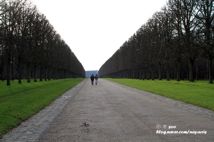 IMG_4374.JPG?type=w1