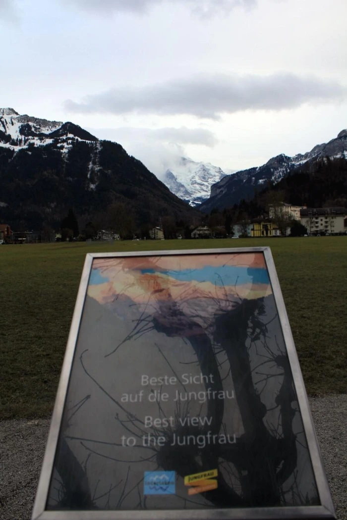 IMG_4932.JPG?type=w1