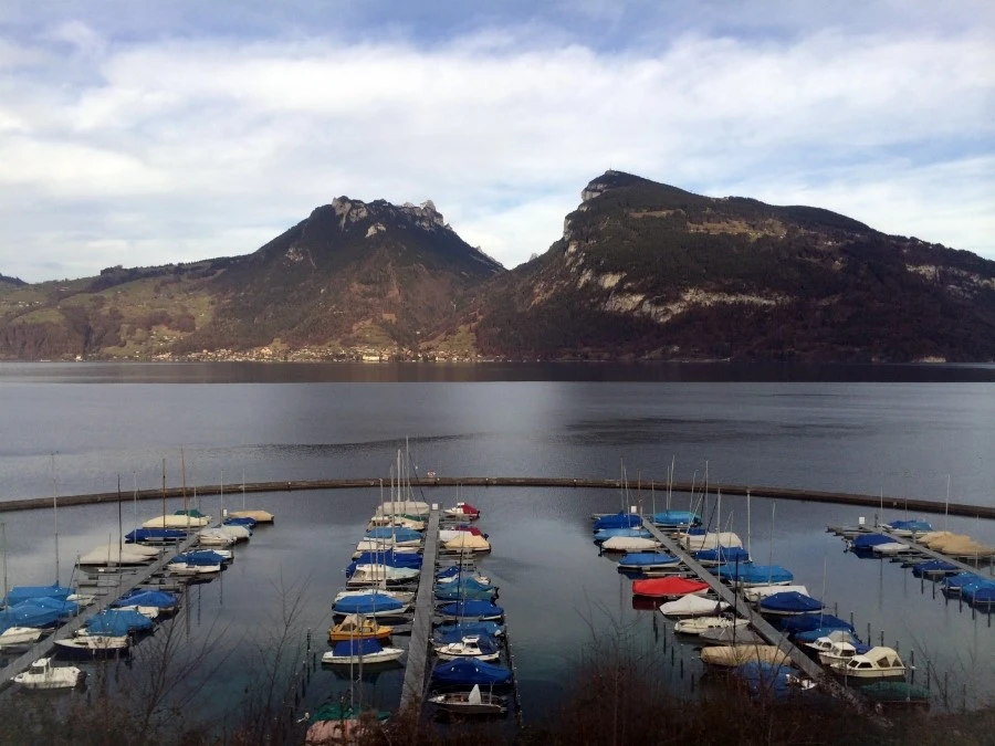 IMG_4219.jpg?type=w1