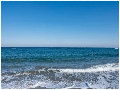 SE-77f12448-c280-4b08-9eab-d85921397f30.jpg?type=w466