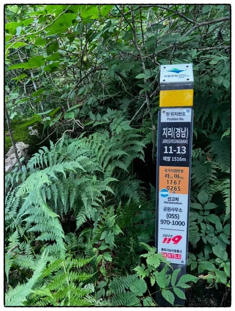 SE-737196BE-A436-4D4A-8B45-C365336EE88C.jpg?type=w466