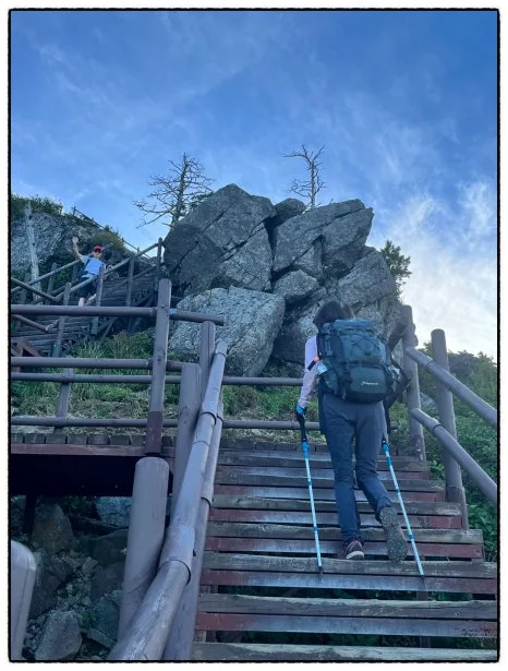 SE-E5037B43-CB58-4296-BFDF-43F88374634B.jpg?type=w466