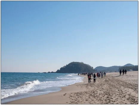 SE-3a36cc5a-4428-42ad-bf85-0e5b5f980229.jpg?type=w466