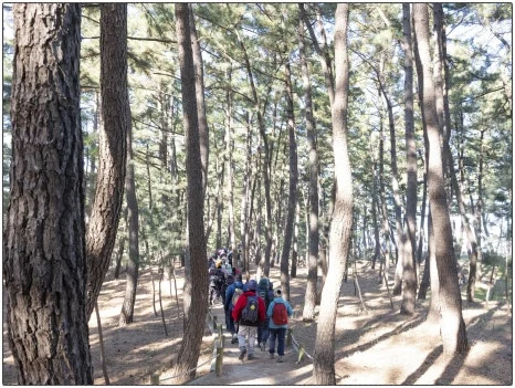 SE-ae1e3e9b-996e-4ae5-80e8-24ccf32362a4.jpg?type=w466