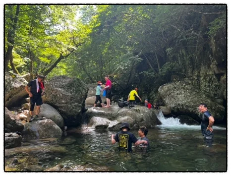 SE-ED35AE58-1CF2-40DA-85E2-A633EC1627DA.jpg?type=w466