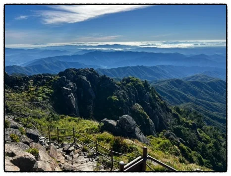 SE-285D0E91-0BE0-4411-B8D7-2A3E19A229E9.jpg?type=w466