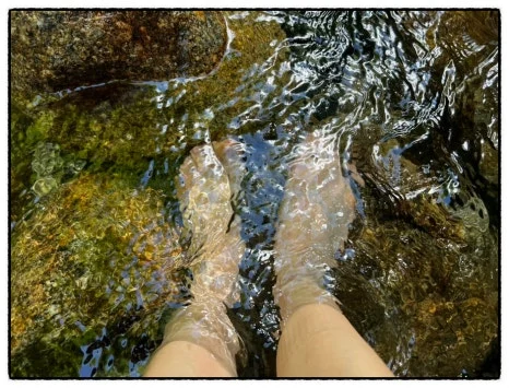 SE-1F9C4C08-48D7-4FA0-A405-1E1659C512F4.jpg?type=w466