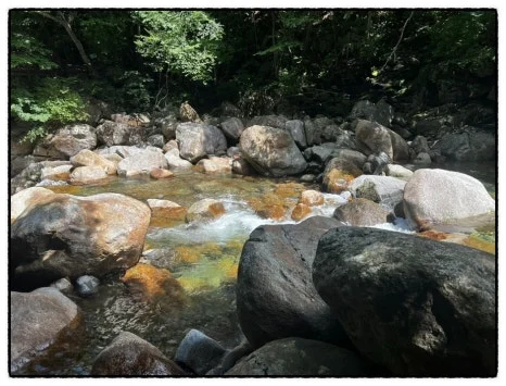 SE-170BEA43-68E5-4E4B-B529-A19B8F8F583D.jpg?type=w466