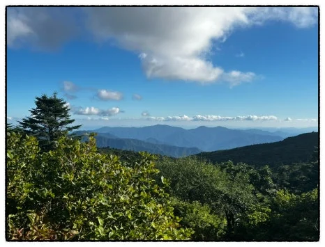 SE-69B64088-650D-4FD6-8CD4-87F45C6D44D1.jpg?type=w466