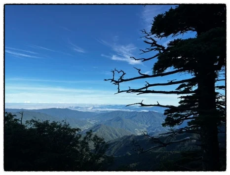 SE-B9AF33E8-4E18-4A8D-B877-A62DFB0E4AFC.jpg?type=w466