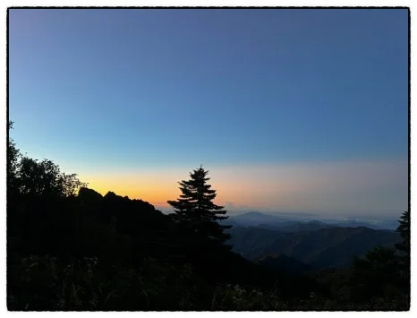 SE-7423ACF1-8E8B-48D5-AEAA-093C3F514699.jpg?type=w466