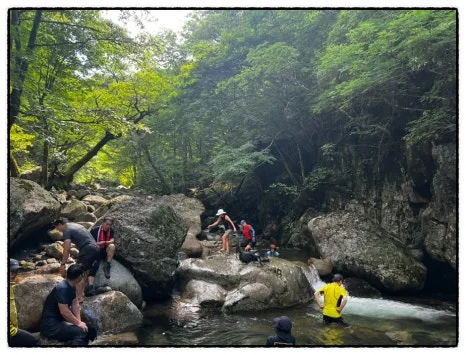 SE-8464548D-DA8D-4393-AE43-232E00716A9D.jpg?type=w466