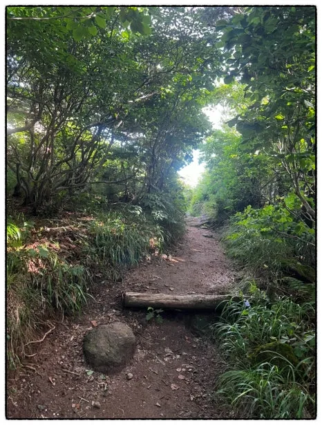 SE-A3BD9DBD-2BD1-42F9-8D24-6ECFDA678E99.jpg?type=w466