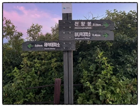 SE-FEB02832-833E-4B82-9CB4-8F3FB9421764.jpg?type=w466