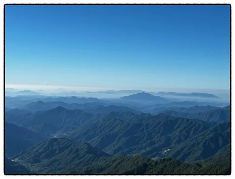 SE-52620BCF-BD5D-4B97-8B57-37EBD5108816.jpg?type=w466