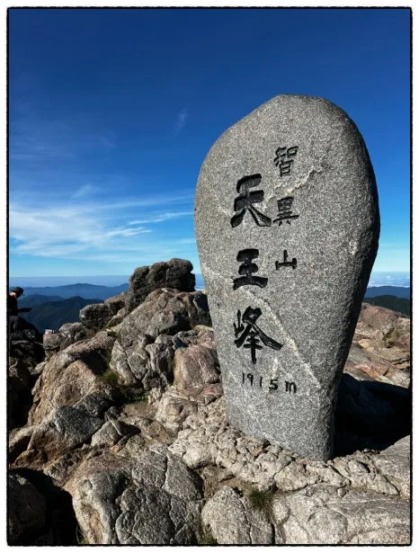 SE-A4B79C26-DD5A-49DB-A706-63A7DE489B39.jpg?type=w466