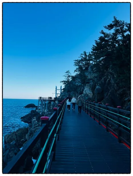 SE-7841515A-5195-417D-B743-D1C41A90C41B.jpg?type=w466