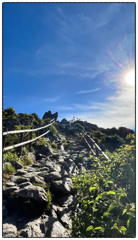 SE-9B0AD585-76B7-4BCA-9FB7-7C034FA9EBFF.jpg?type=w466