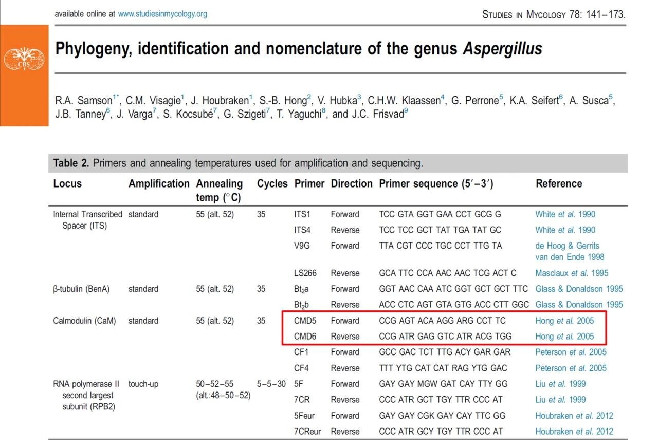 cbgUd016svc1wz1ouq4wep2a_q033sk.png?type=e1920_std