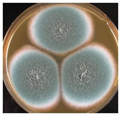 43iUd017svc1qkkktfjyl09d_e8dztr.png?type=e1920_std