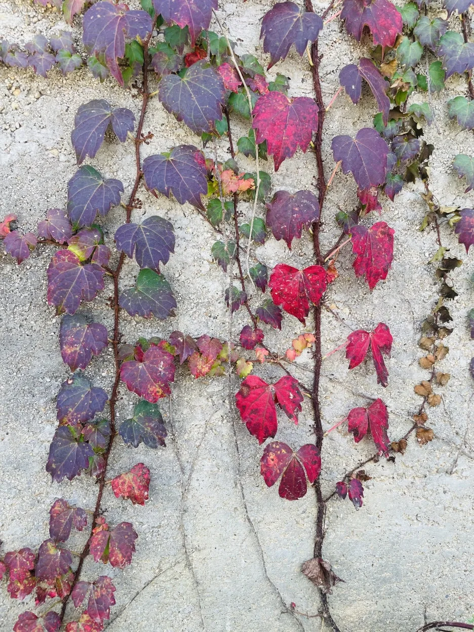 KakaoTalk_20241103_214746358.jpg?type=w1