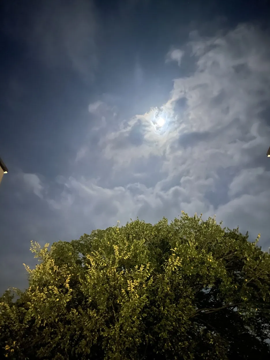 KakaoTalk_20241016_055633243.jpg?type=w1