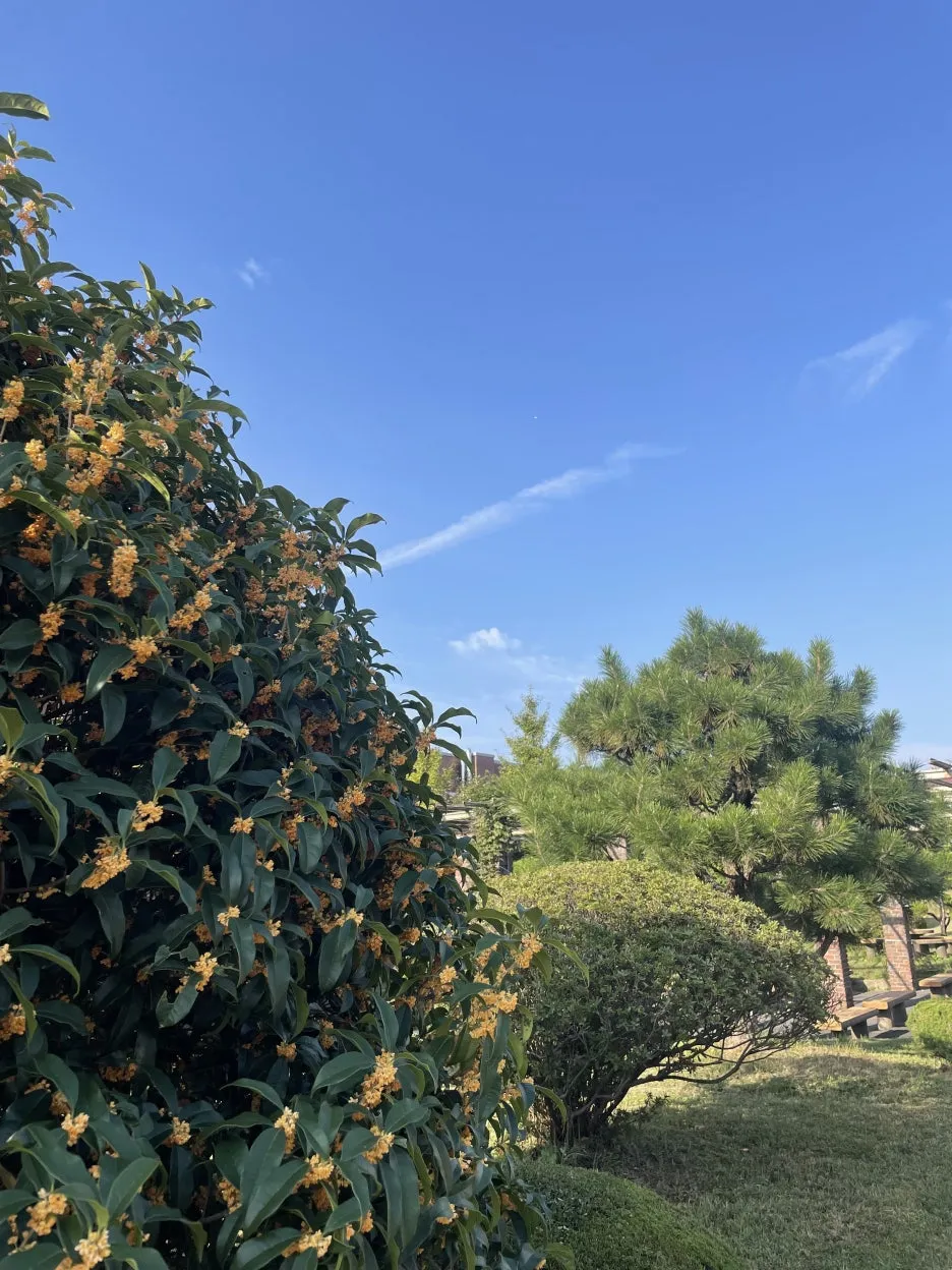 IMG_3120.jpeg?type=w1