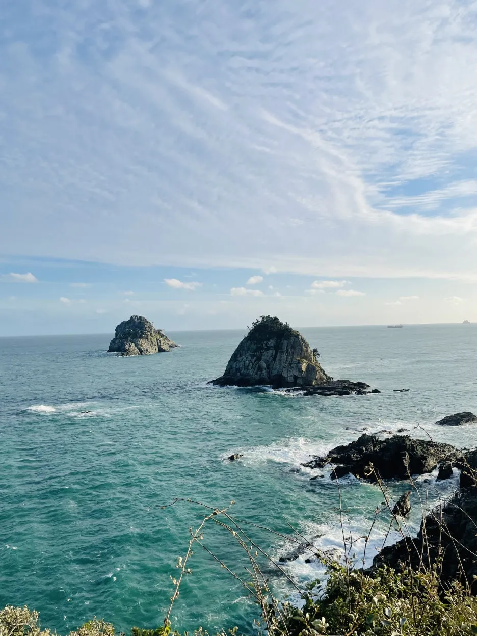 KakaoTalk_20241029_213110971.jpg?type=w1