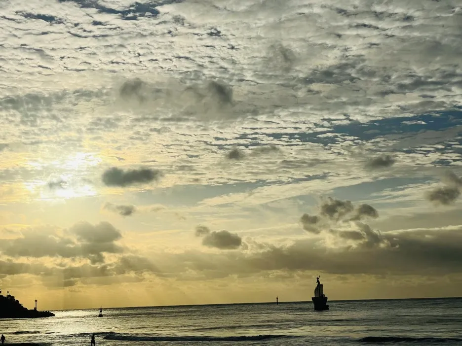 KakaoTalk_20241029_140642299.jpg?type=w1